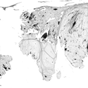 GeographyMap6_EarthAtNight_grey