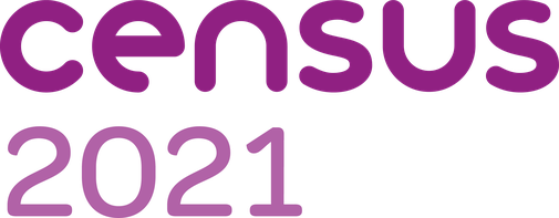 The 2021 census logo